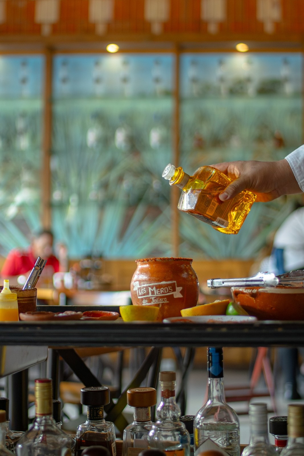 Los Meros de Jalisco 01